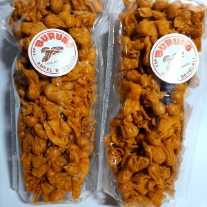 pangsit abon (400gr)